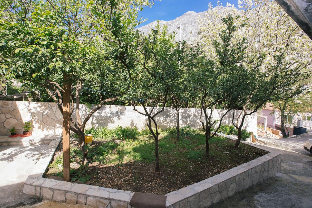 Studio Jeff 1 Apartamento Kotor Exterior foto